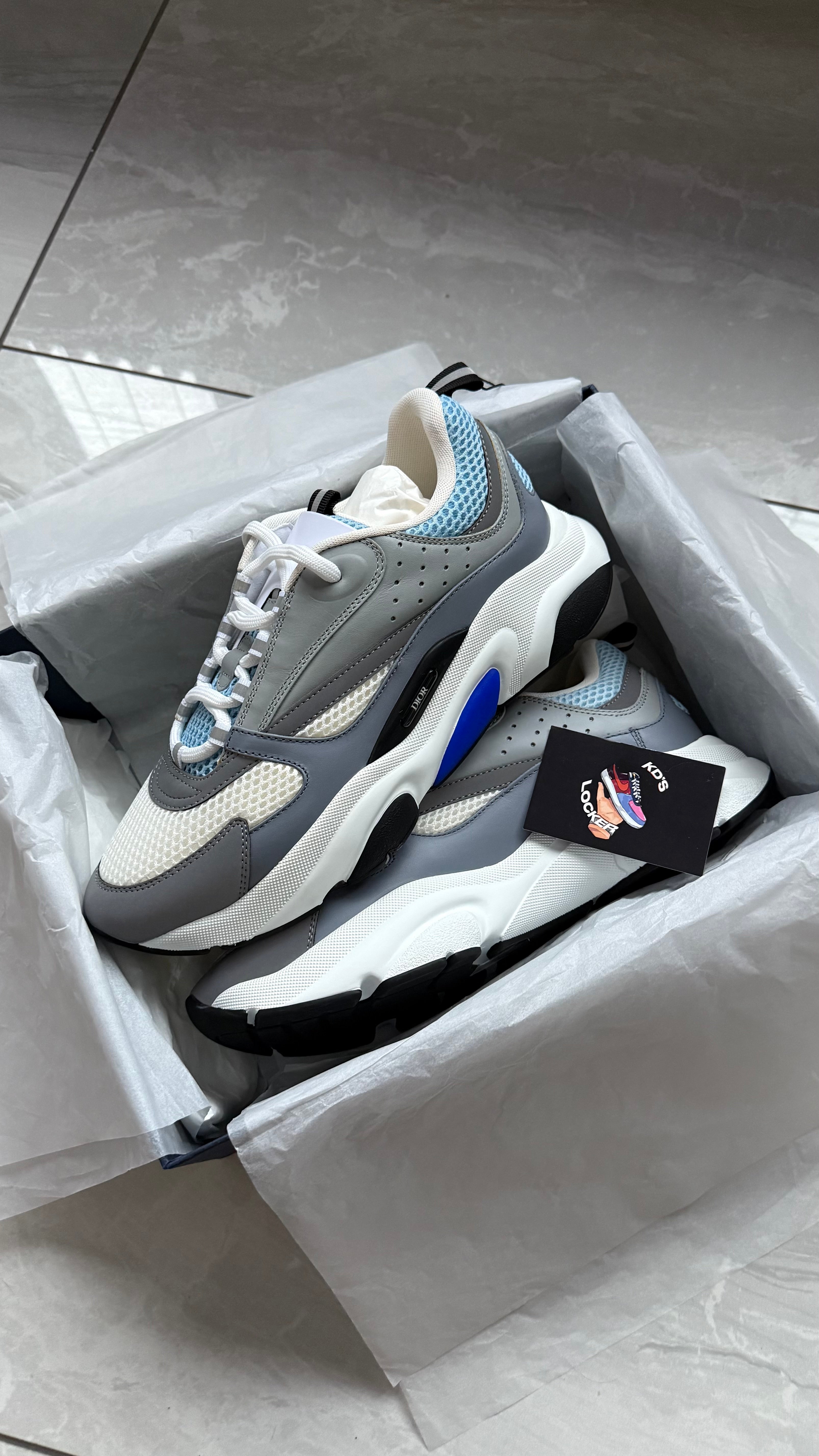 DIOR B22 BLUE / WHITE